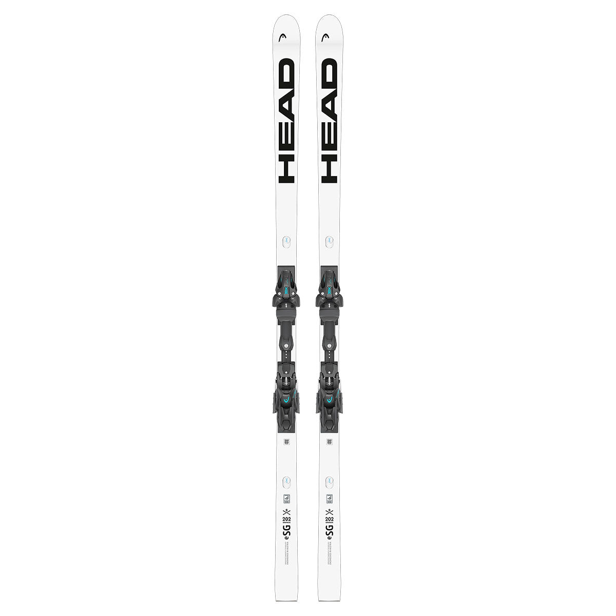 スキー HEAD REBELS E-SL RD FIS 165cm 2026-HEAD-FIS-SL-T.jpg?v=