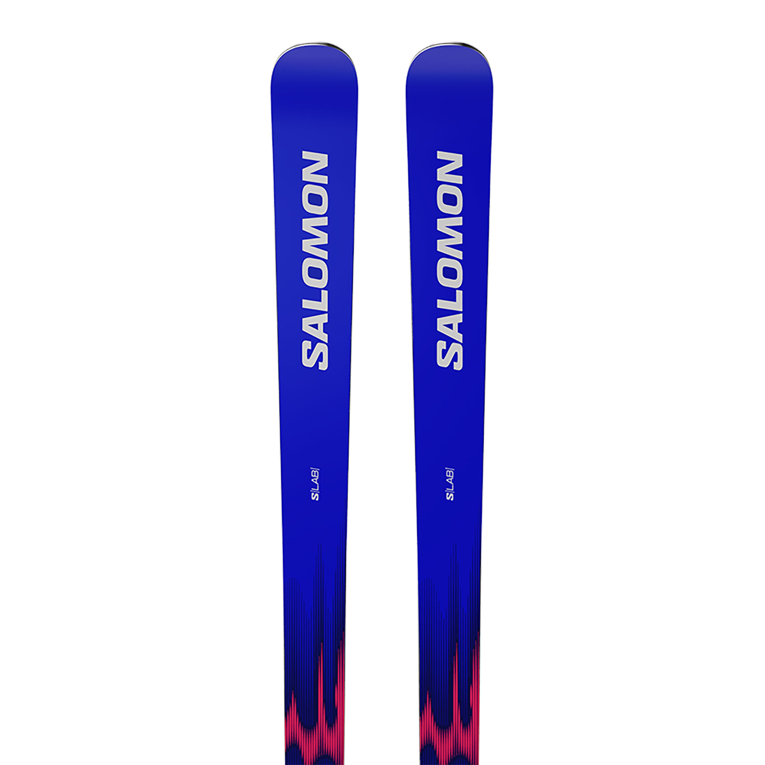 SALOMON S/RACE FIS GS スキー 193cm R30 SALOMON S/RACE FIS GS