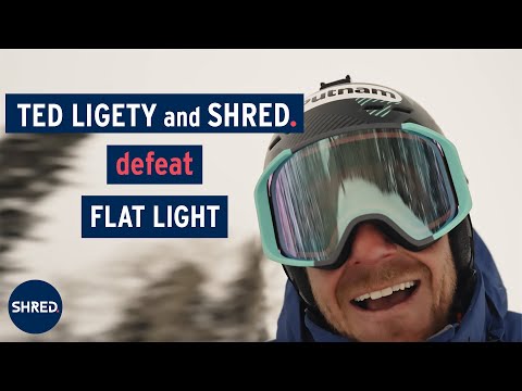 Shred Amazify Goggle Replacement Lens – Race Place