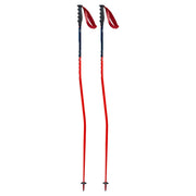 Swix WC Pro Ski Racer Poles – Race Place